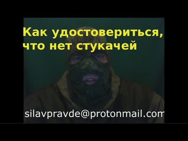 как удостовериться, что нет стукачей