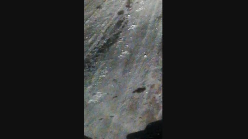 VID_20181116_062656.mp4