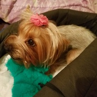 Кристина Пензева